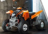 2010 Fokamo ATV 320 Bullet photo